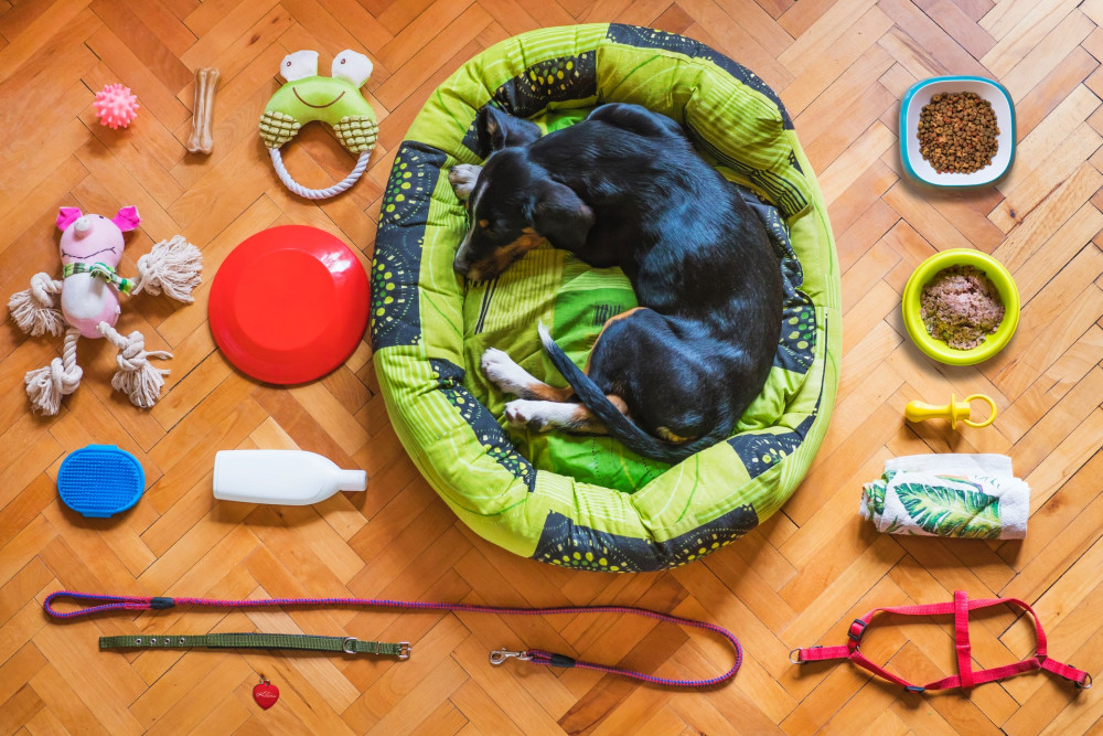 Dog in a bed surrounded by toys - animal and pet supplies fulfilment